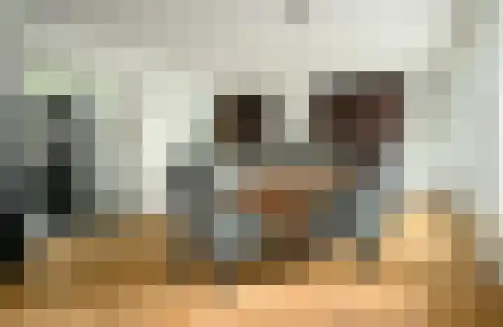 Dorpstraat 4 Ulvenhout thumbnail 17