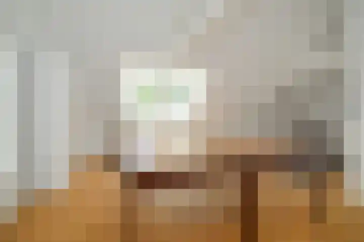Dorpstraat 4 Ulvenhout thumbnail 33