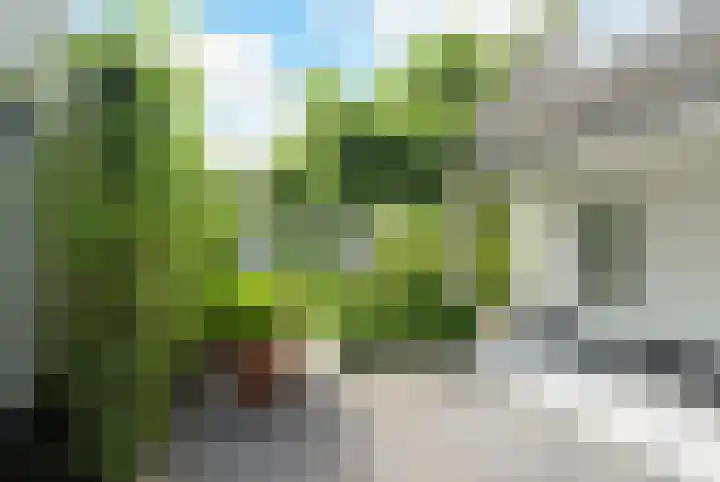 Dorpstraat 4 Ulvenhout thumbnail 42