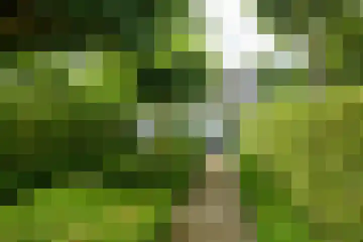 Dorpstraat 4 Ulvenhout thumbnail 43