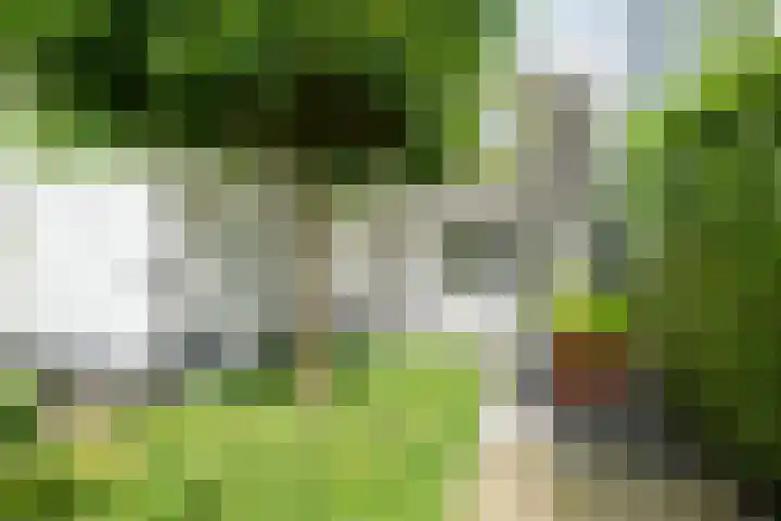 Dorpstraat 4 Ulvenhout thumbnail 44