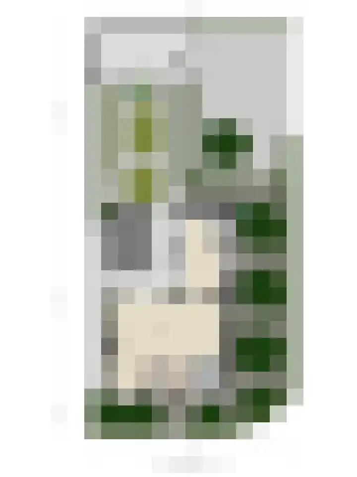 Dorpstraat 4 Ulvenhout thumbnail 54