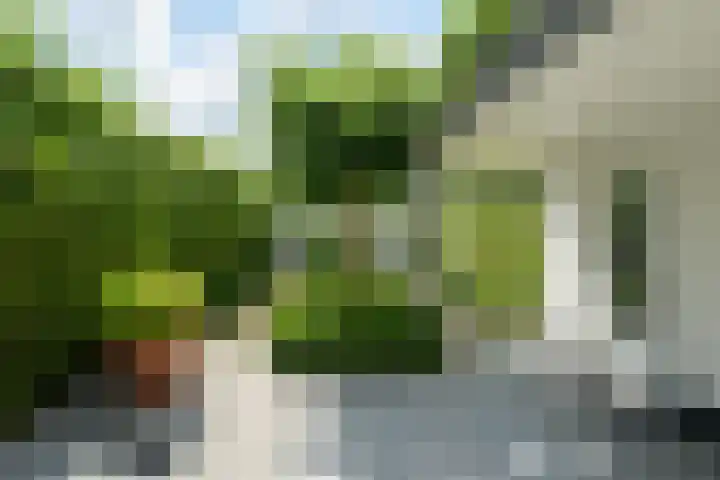 Dorpstraat 4 Ulvenhout thumbnail 9