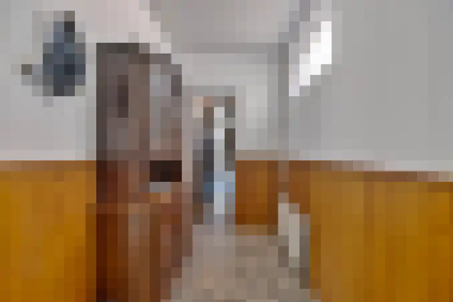 Dorpstraat 40 Riel thumbnail 9