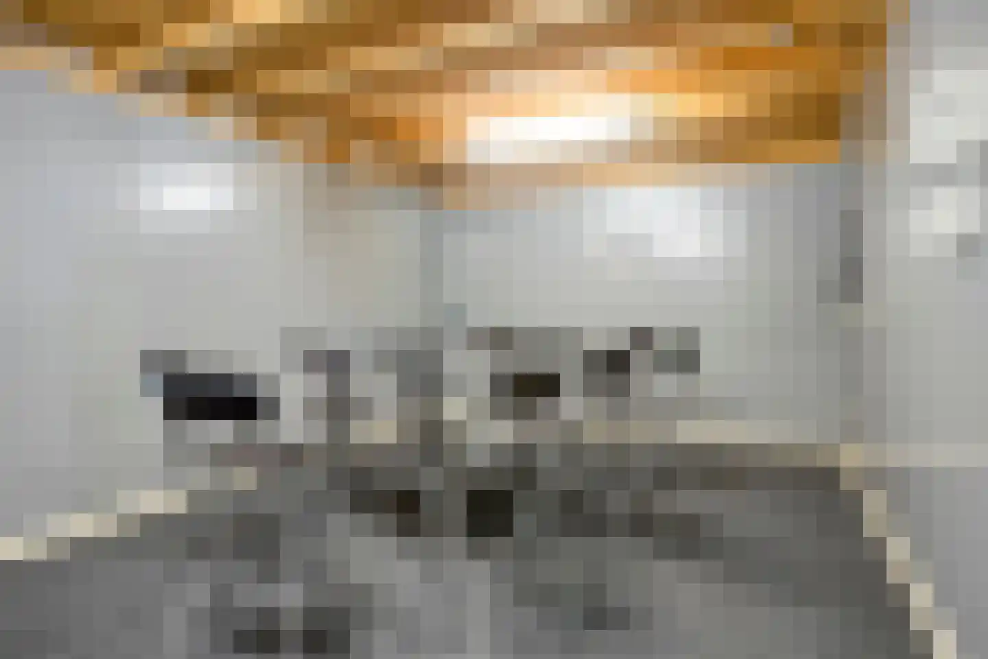 Dorpstraat 41 Gassel thumbnail 22