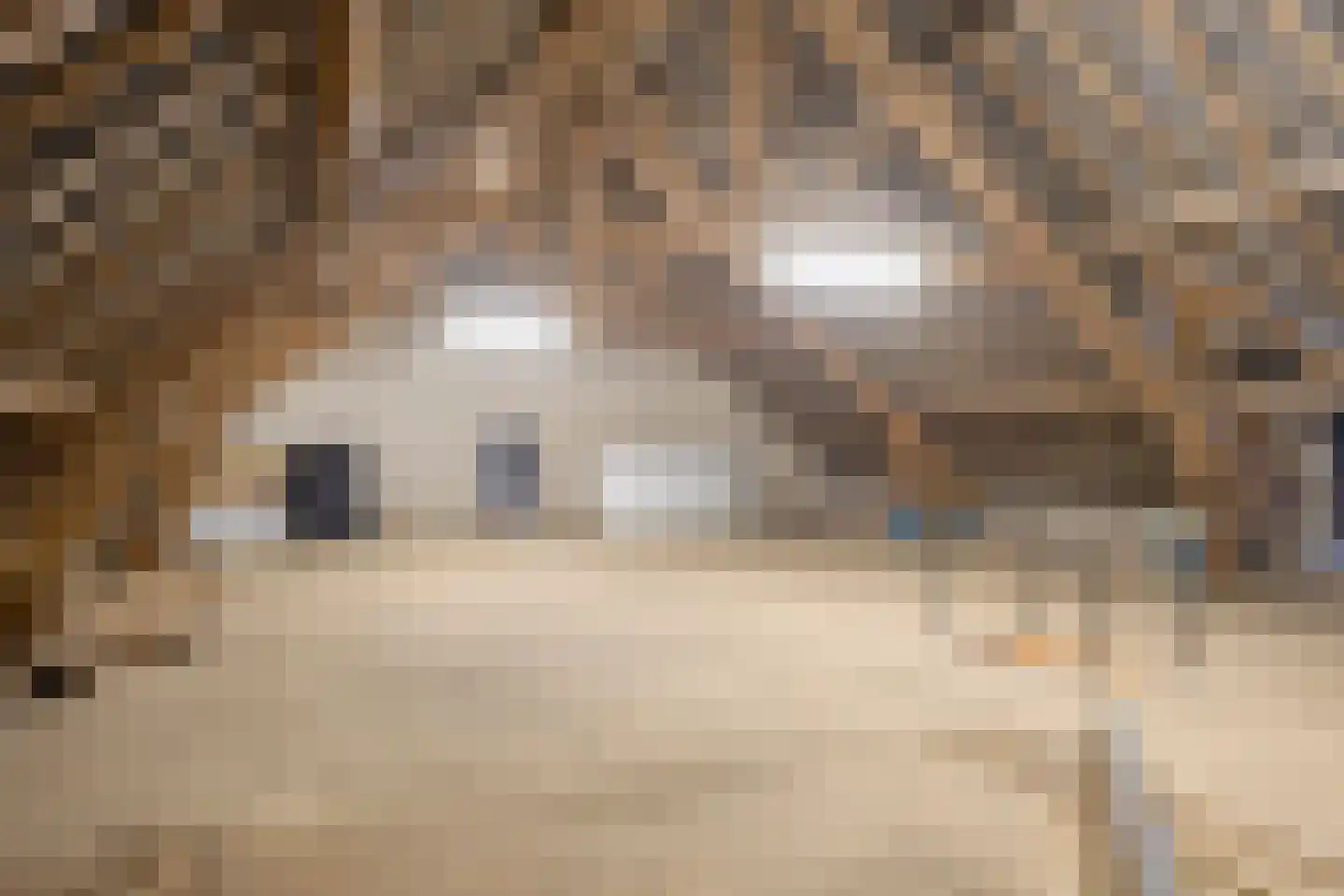 Dorpstraat 41 Gassel thumbnail 33