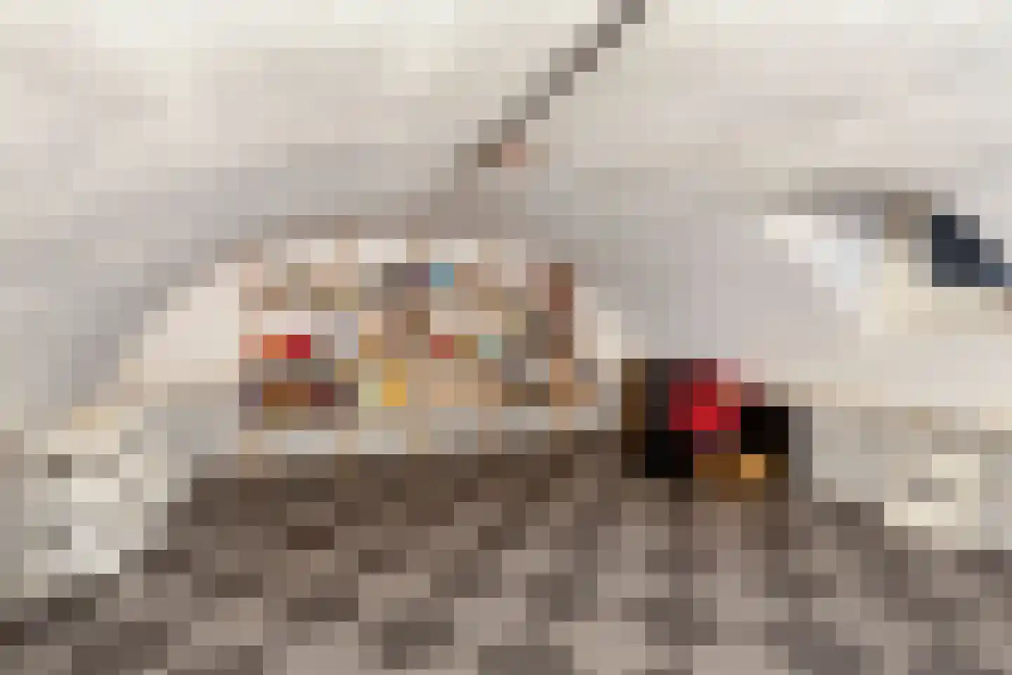Dorpstraat 41 Gassel thumbnail 34