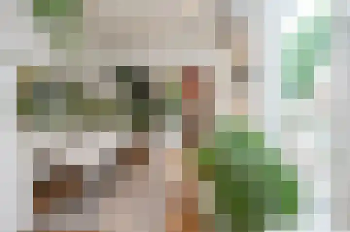 Dorpstraat 41 Maastricht thumbnail 8