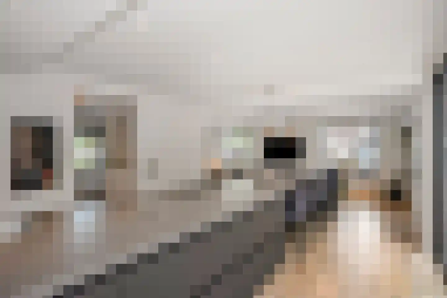 Dorpstraat 42 Buchten thumbnail 10