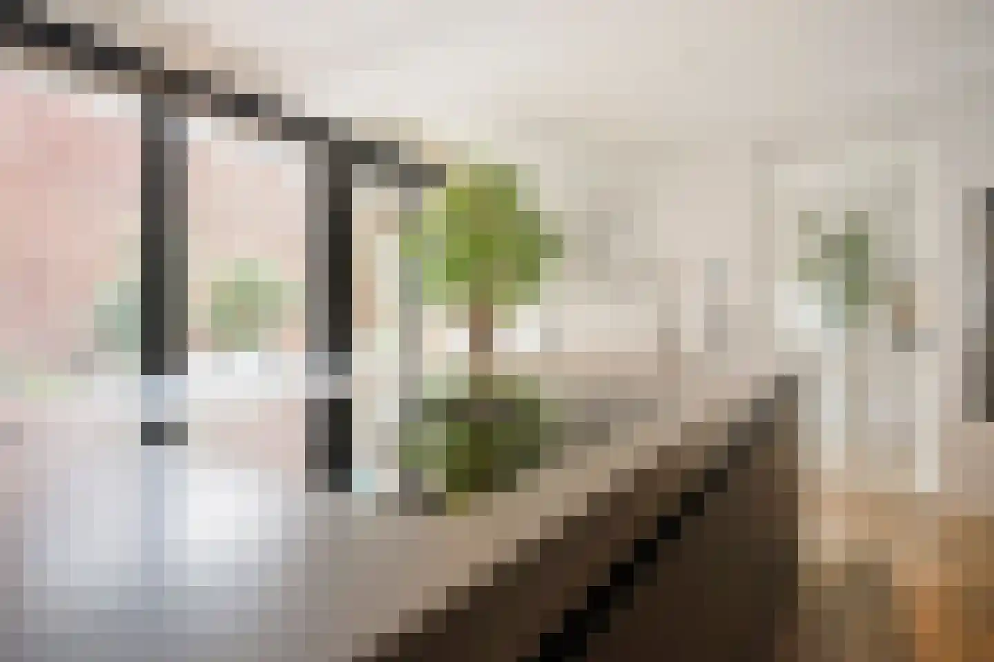 Dorpstraat 42 Buchten thumbnail 12