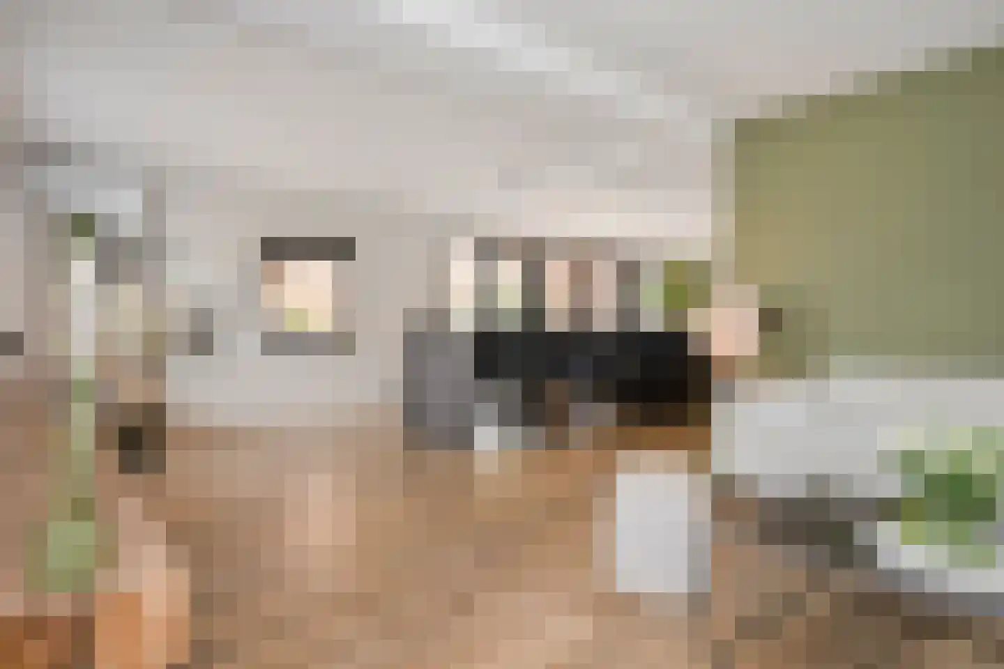 Dorpstraat 42 Buchten thumbnail 16