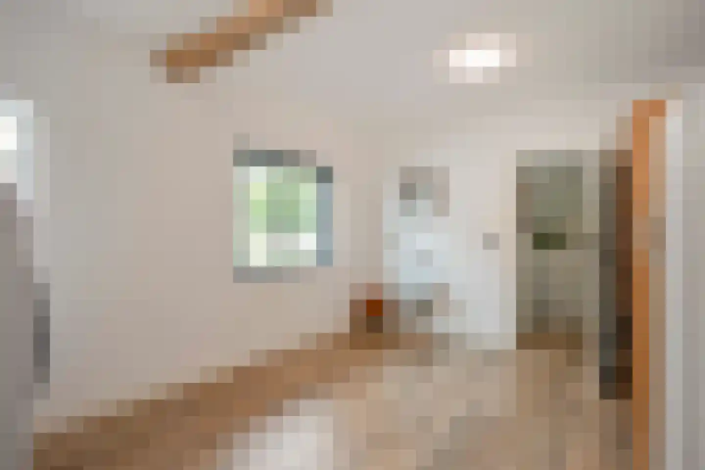 Dorpstraat 42 Buchten thumbnail 22
