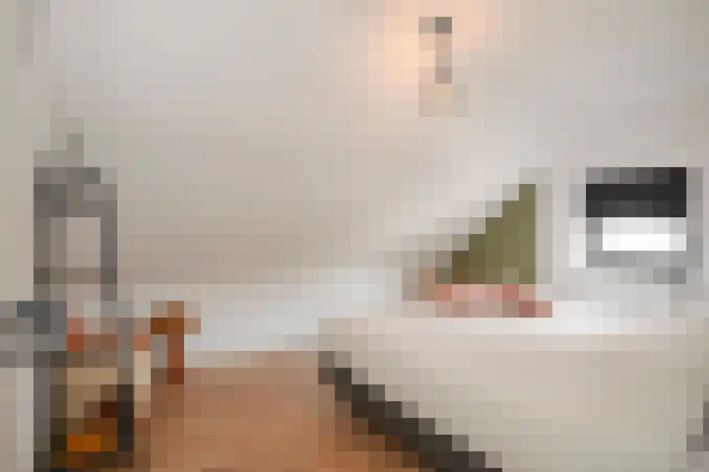 Dorpstraat 42 Buchten thumbnail 24