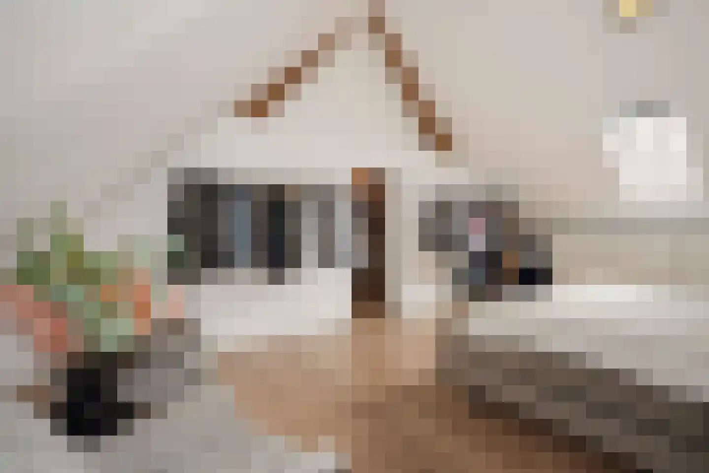 Dorpstraat 42 Buchten thumbnail 36