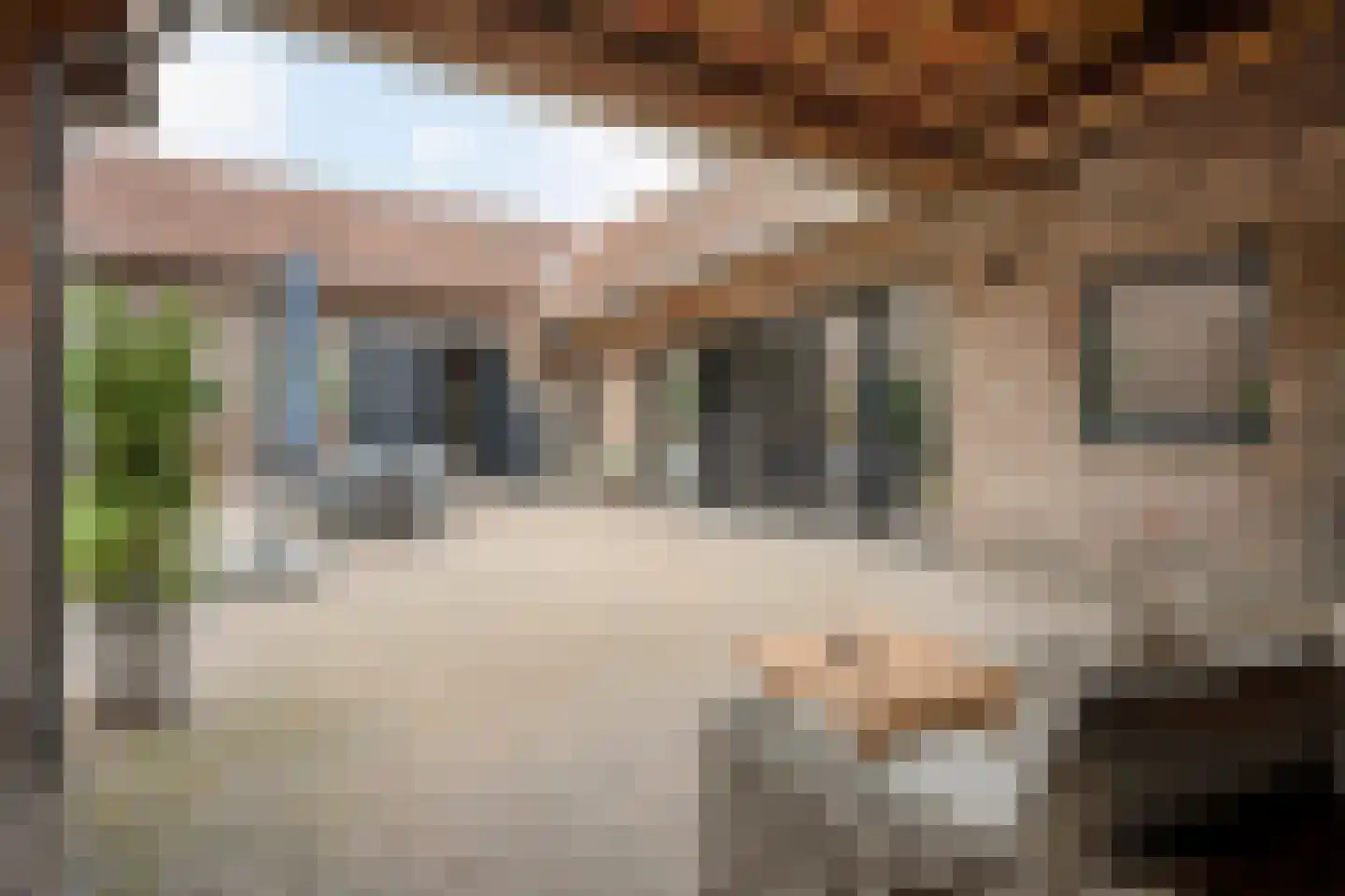Dorpstraat 42 Buchten thumbnail 38