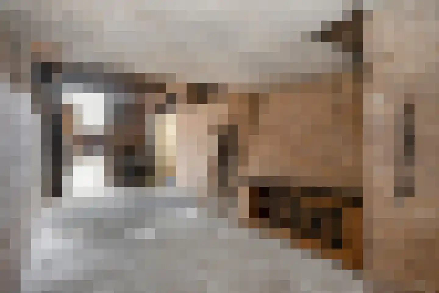 Dorpstraat 42 Buchten thumbnail 46