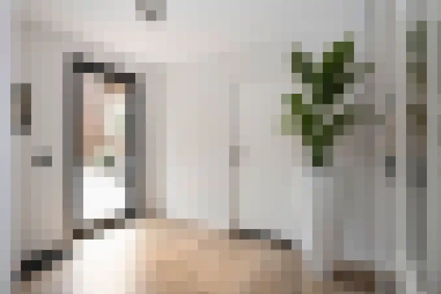 Dorpstraat 42 Buchten thumbnail 8