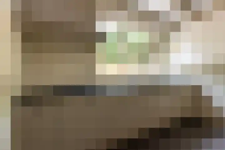 Dorpstraat 44 A Lopik thumbnail 17