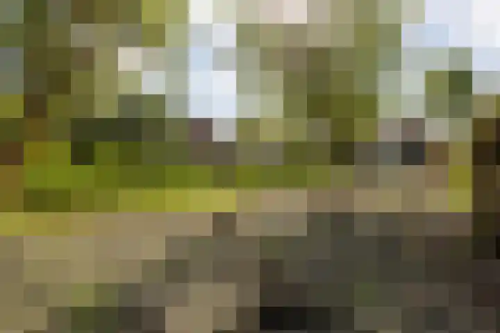 Dorpstraat 44 A Lopik thumbnail 64