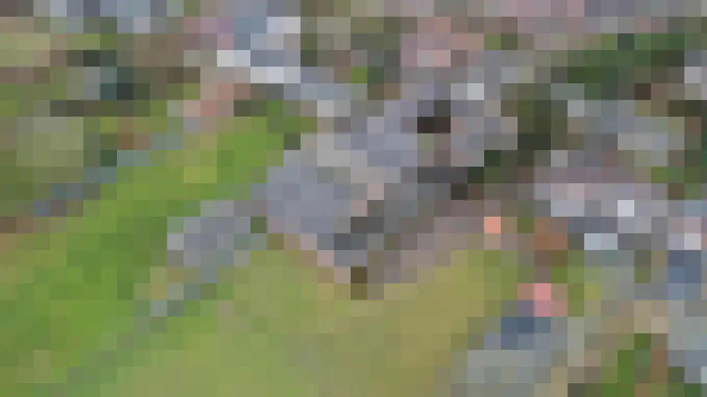 Dorpstraat 45 Ulestraten thumbnail 5