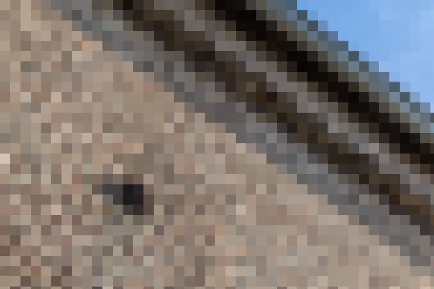 Dorpstraat 45 Ulestraten thumbnail 8