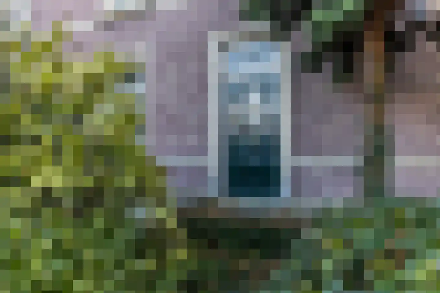 Dorpstraat 45 Ulestraten thumbnail 9