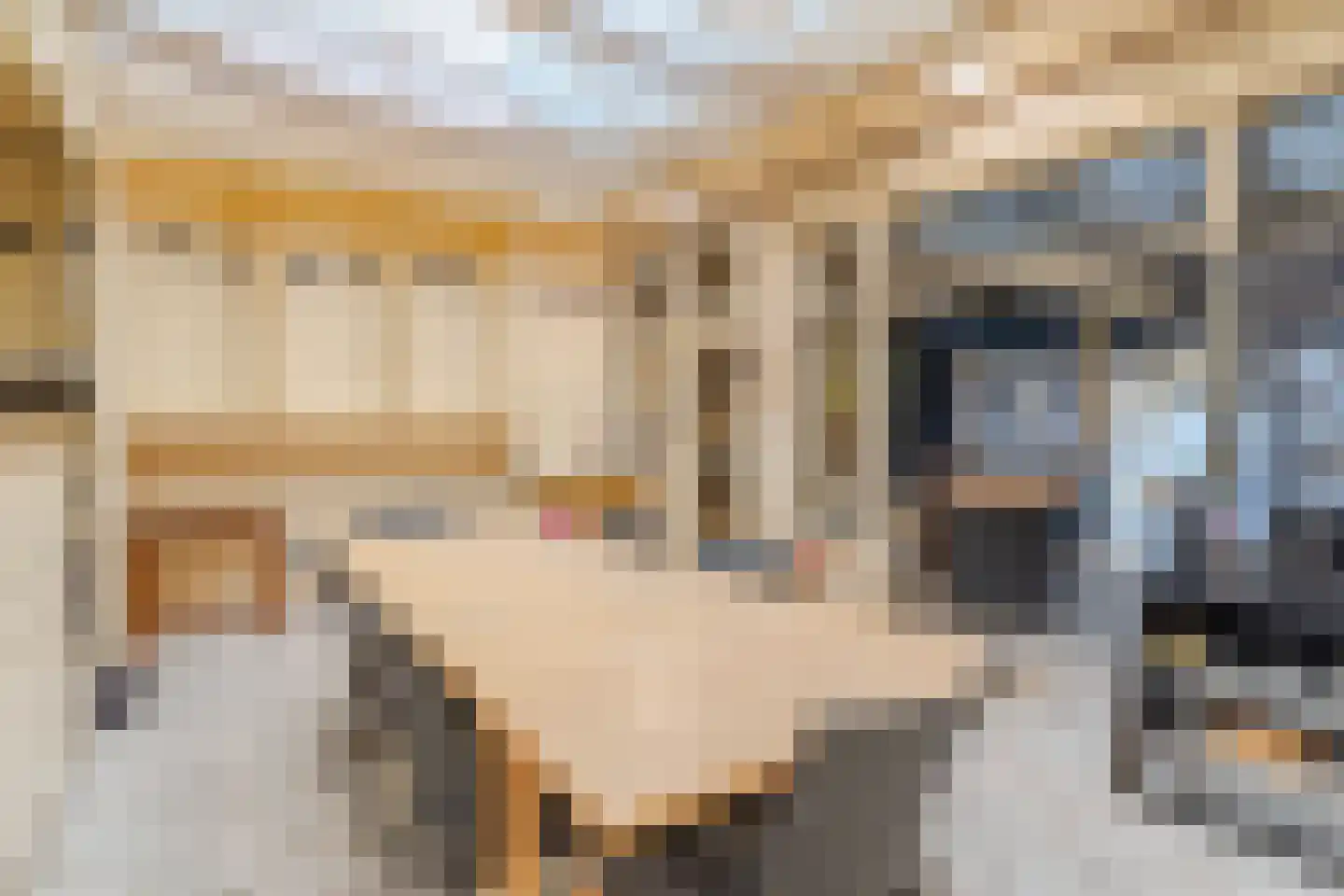 Dorpstraat 48 Waddinxveen thumbnail 12