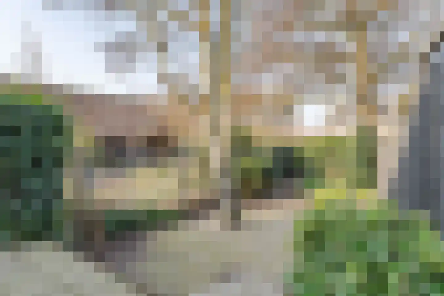Dorpstraat 48 Waddinxveen thumbnail 15