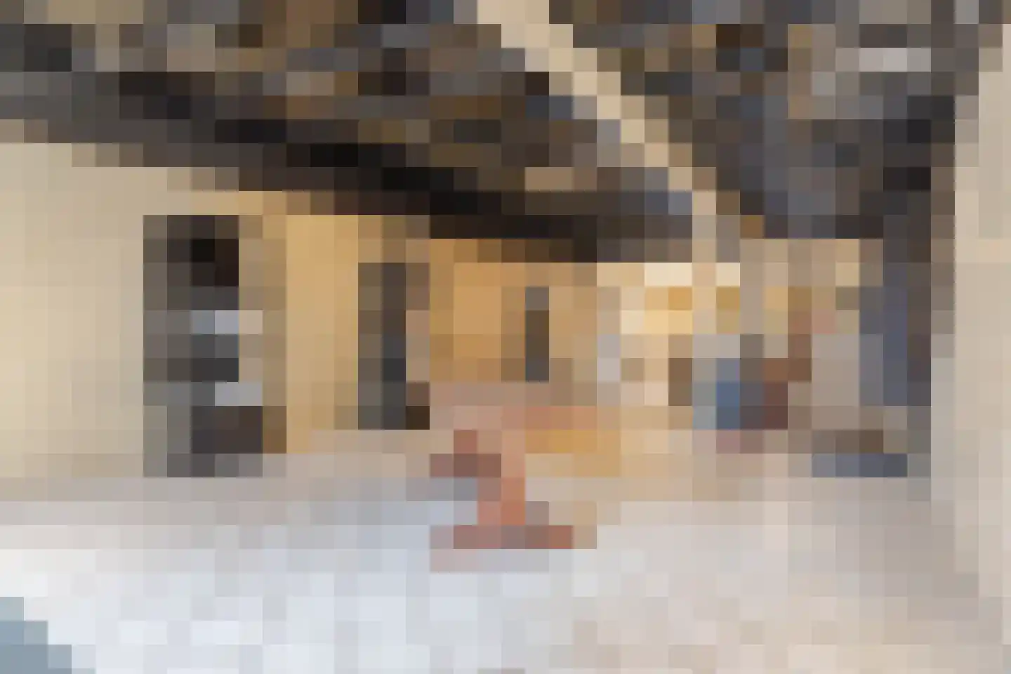 Dorpstraat 48 Waddinxveen thumbnail 8