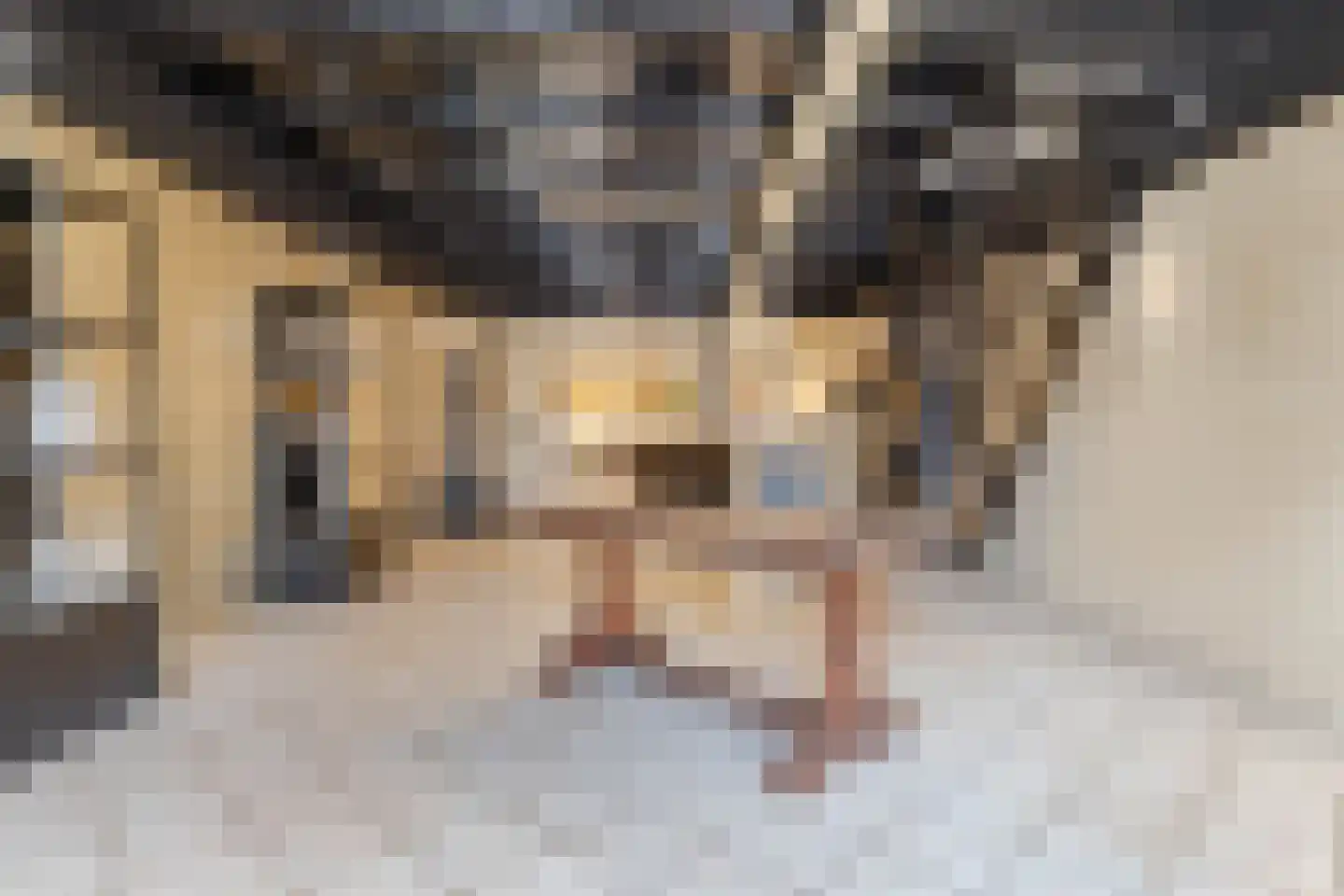 Dorpstraat 48 Waddinxveen thumbnail 9