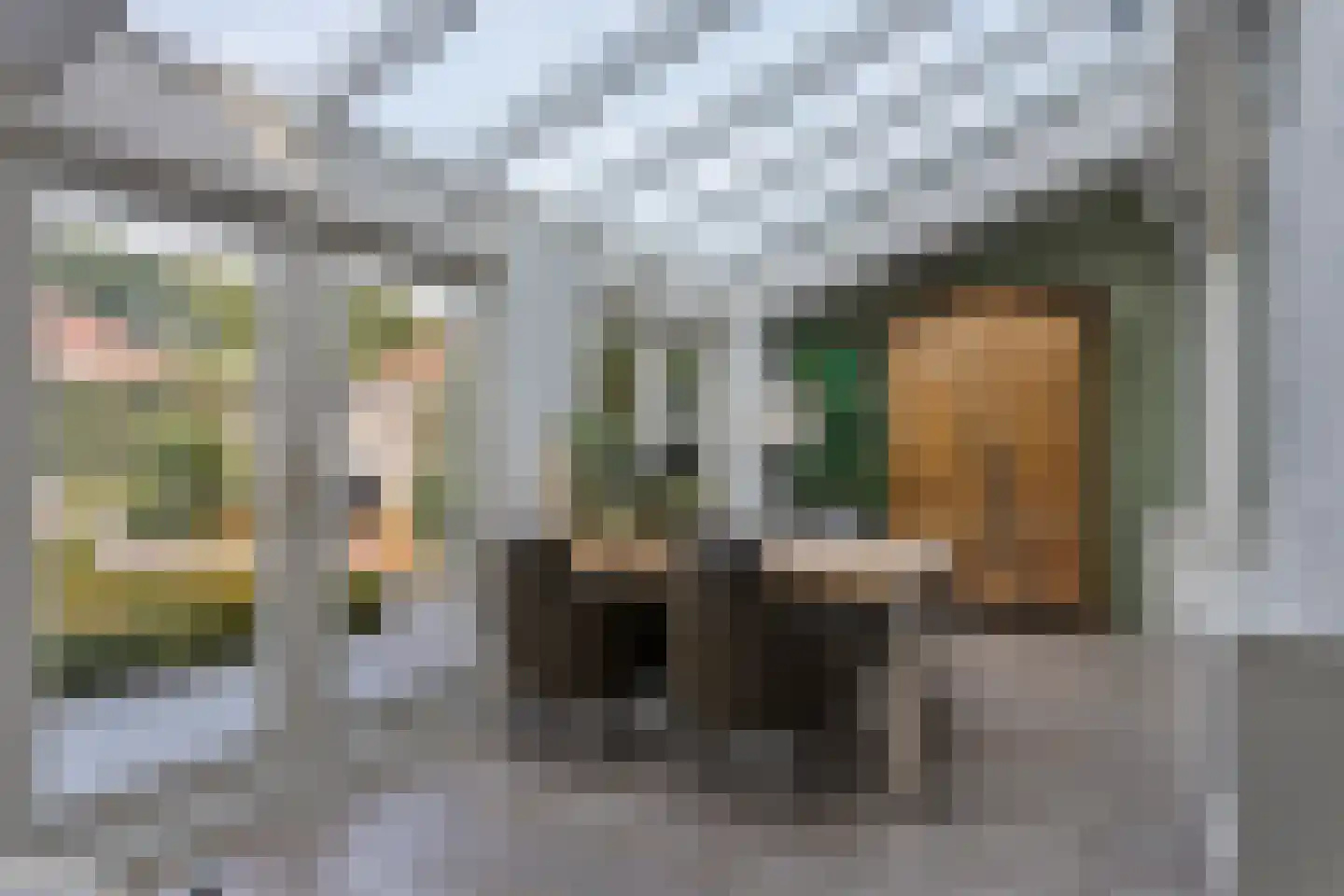 Dorpstraat 5 C Nuland thumbnail 10