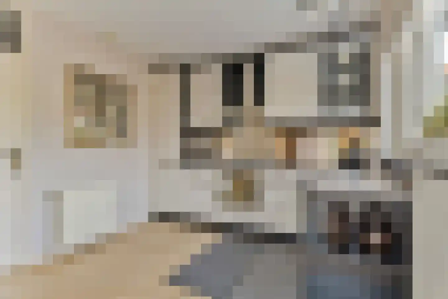 Dorpstraat 5 C Nuland thumbnail 12