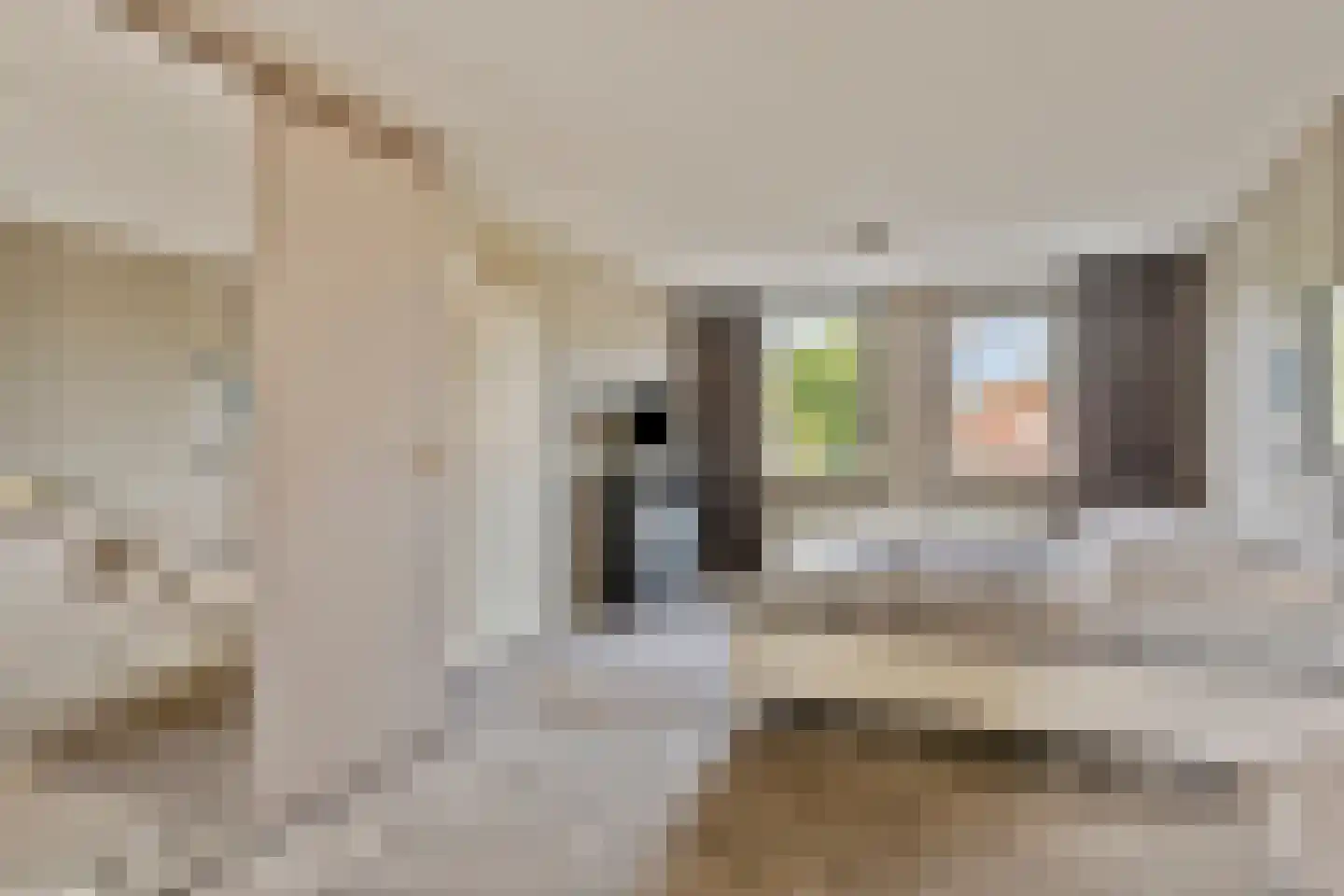 Dorpstraat 5 C Nuland thumbnail 17
