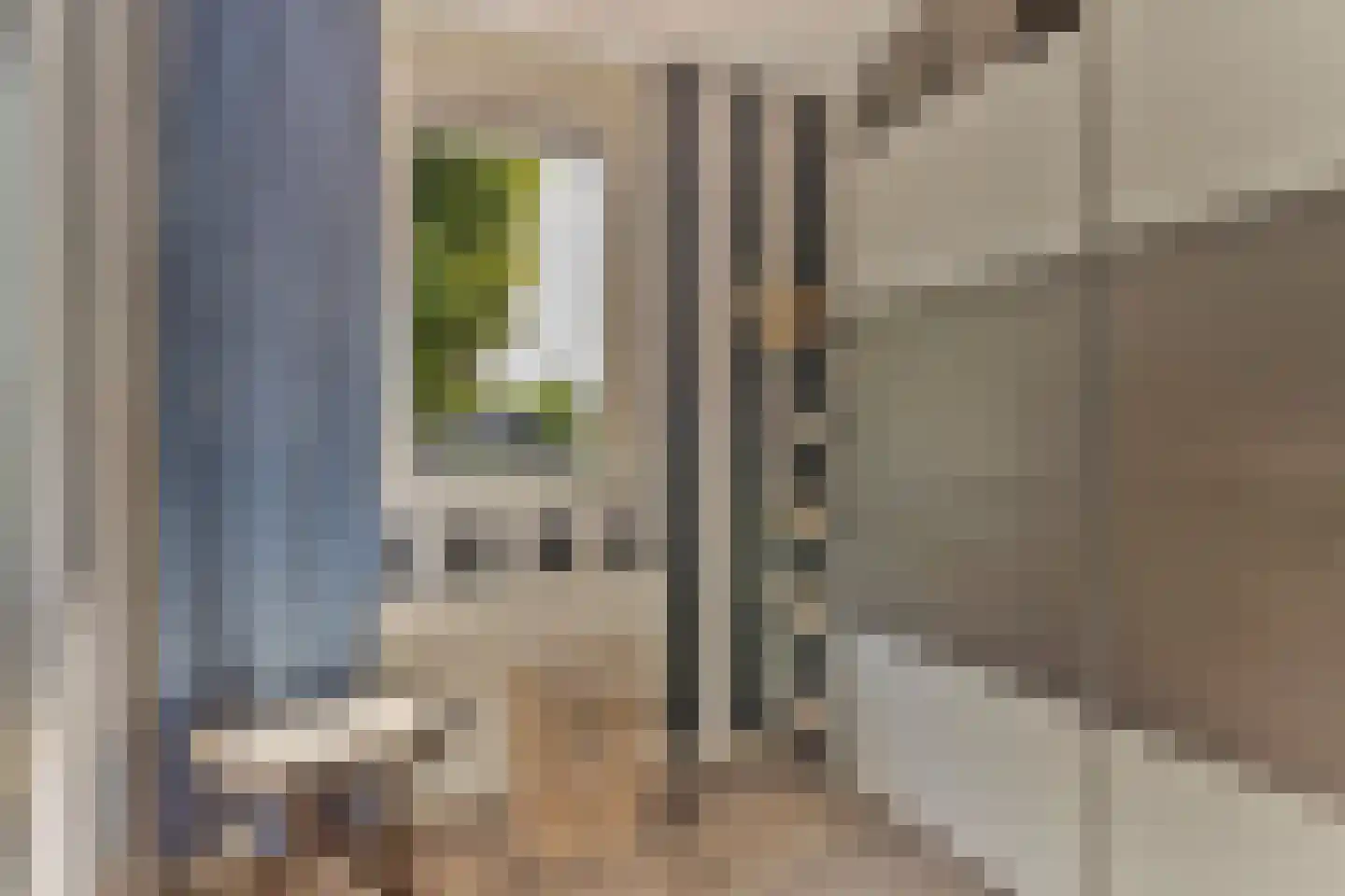 Dorpstraat 5 C Nuland thumbnail 20