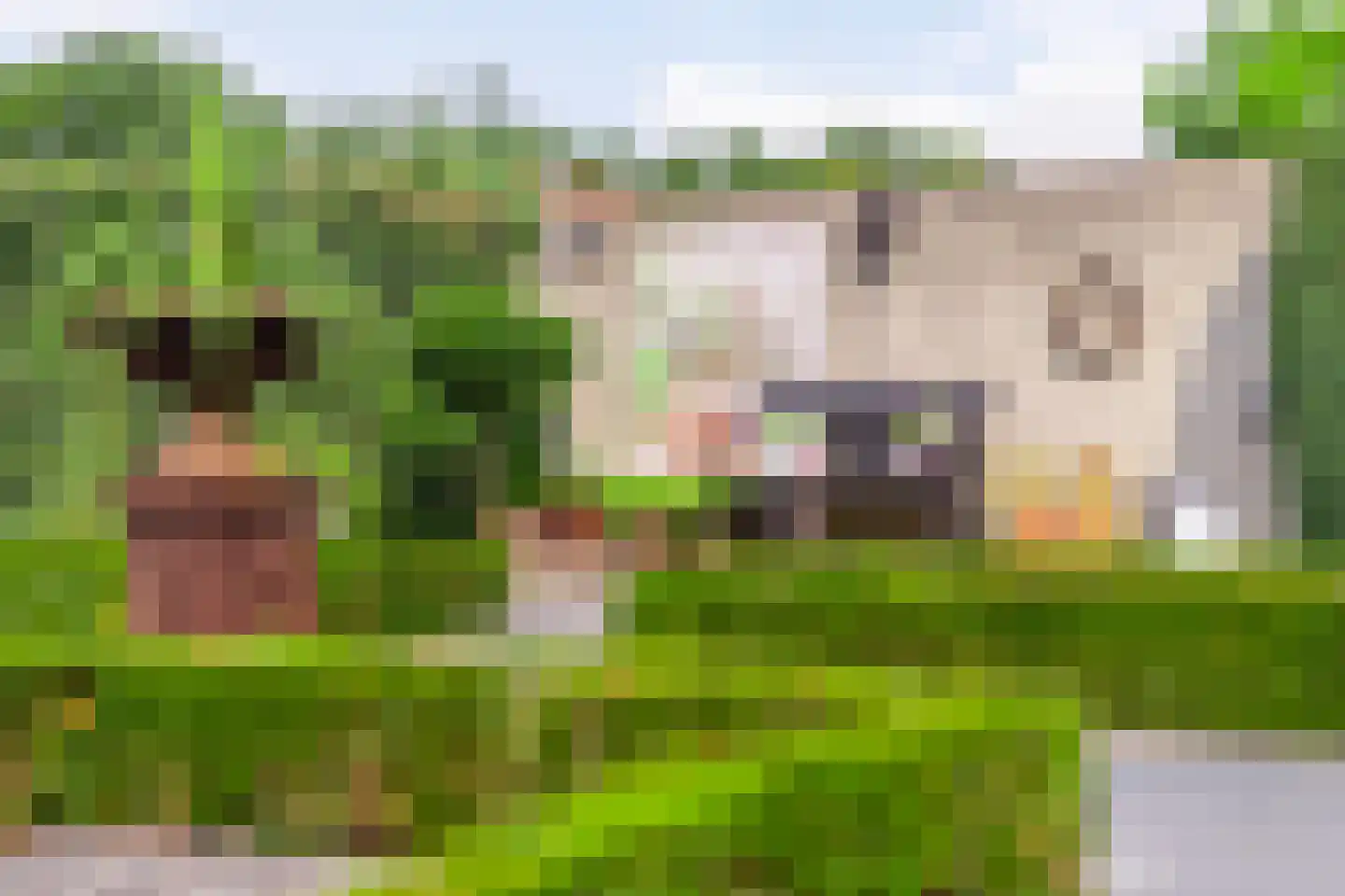 Dorpstraat 5 C Nuland thumbnail 30