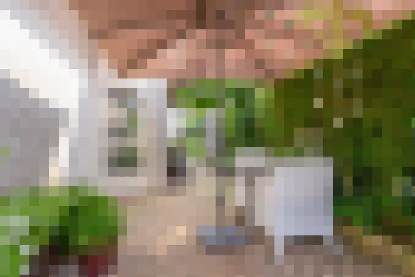 Dorpstraat 5 C Nuland thumbnail 32