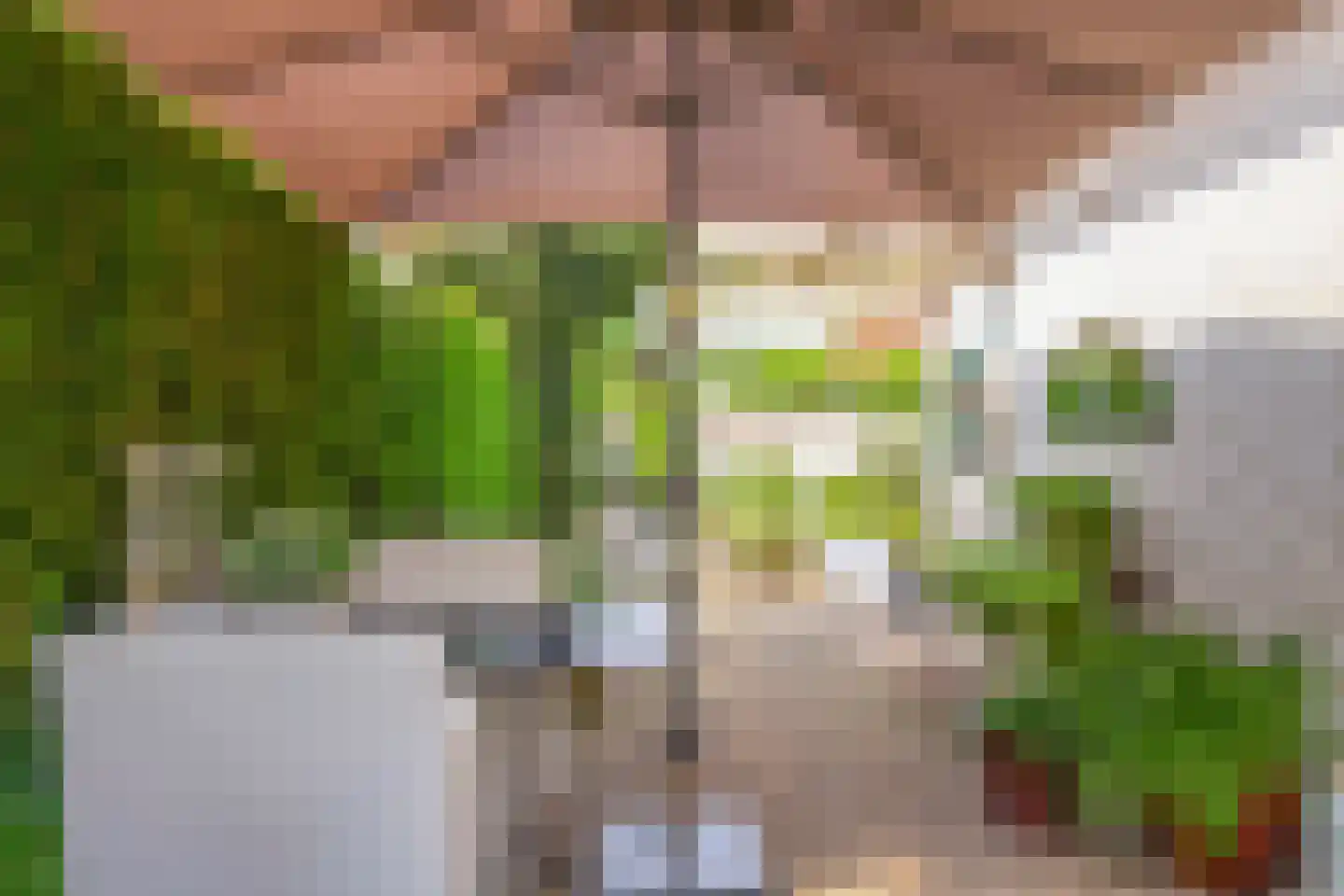 Dorpstraat 5 C Nuland thumbnail 33
