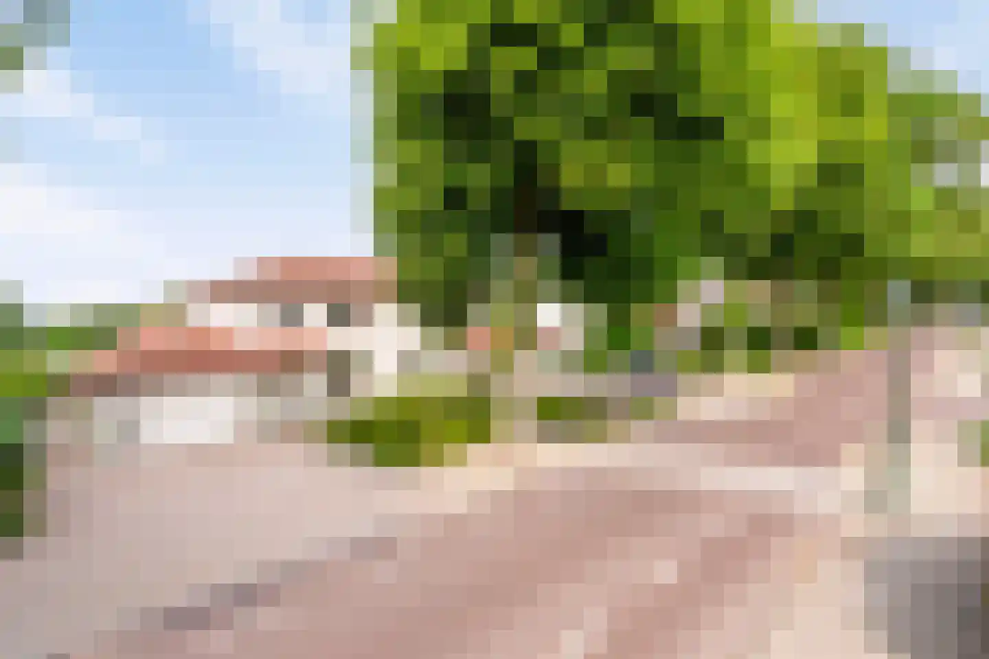 Dorpstraat 5 C Nuland thumbnail 36