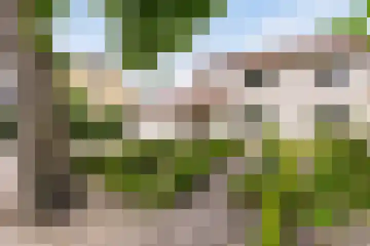 Dorpstraat 5 C Nuland thumbnail 37