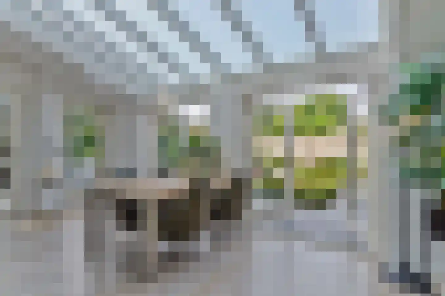 Dorpstraat 5 C Nuland thumbnail 7