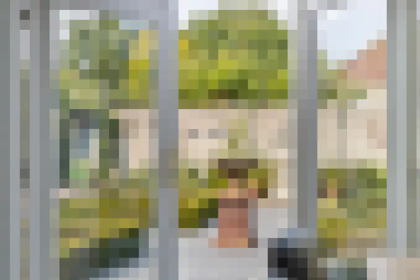 Dorpstraat 5 C Nuland thumbnail 8
