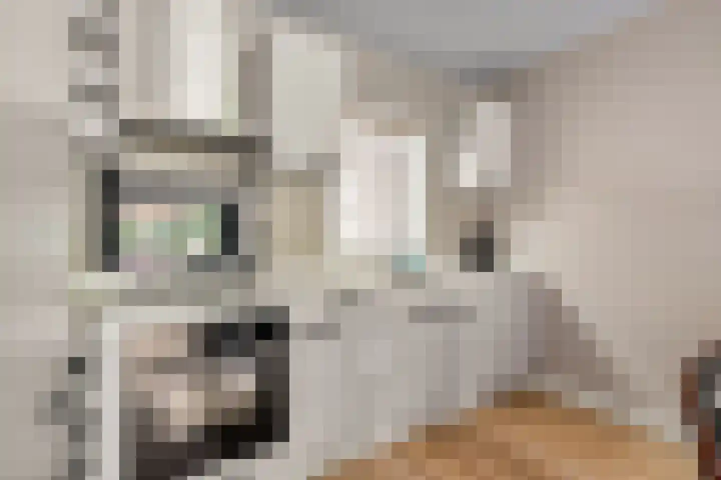 Dorpstraat 5 J Geffen thumbnail 8