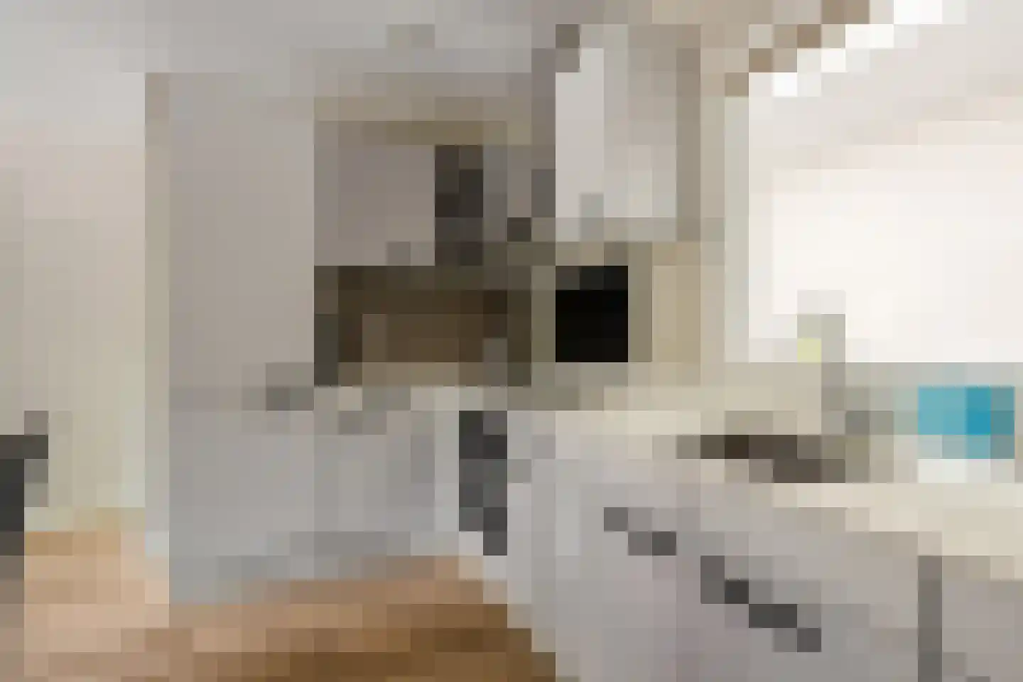Dorpstraat 5 J Geffen thumbnail 9