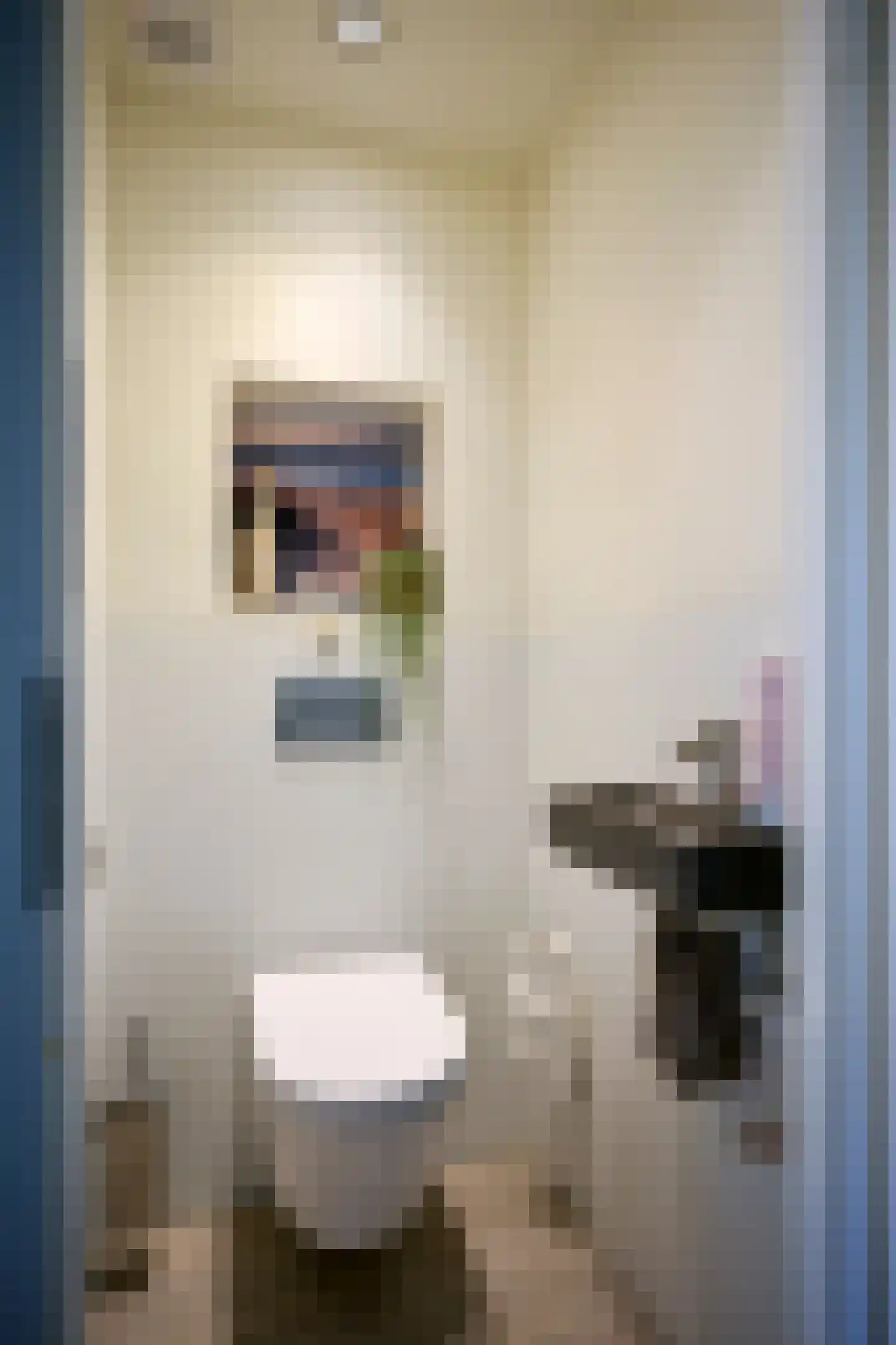 Dorpstraat 50 C Maastricht thumbnail 19