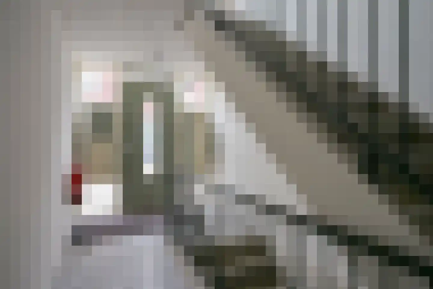 Dorpstraat 50 C Maastricht thumbnail 22
