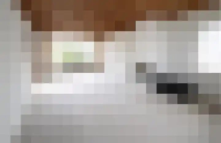 Dorpstraat 50 Dreumel thumbnail 10