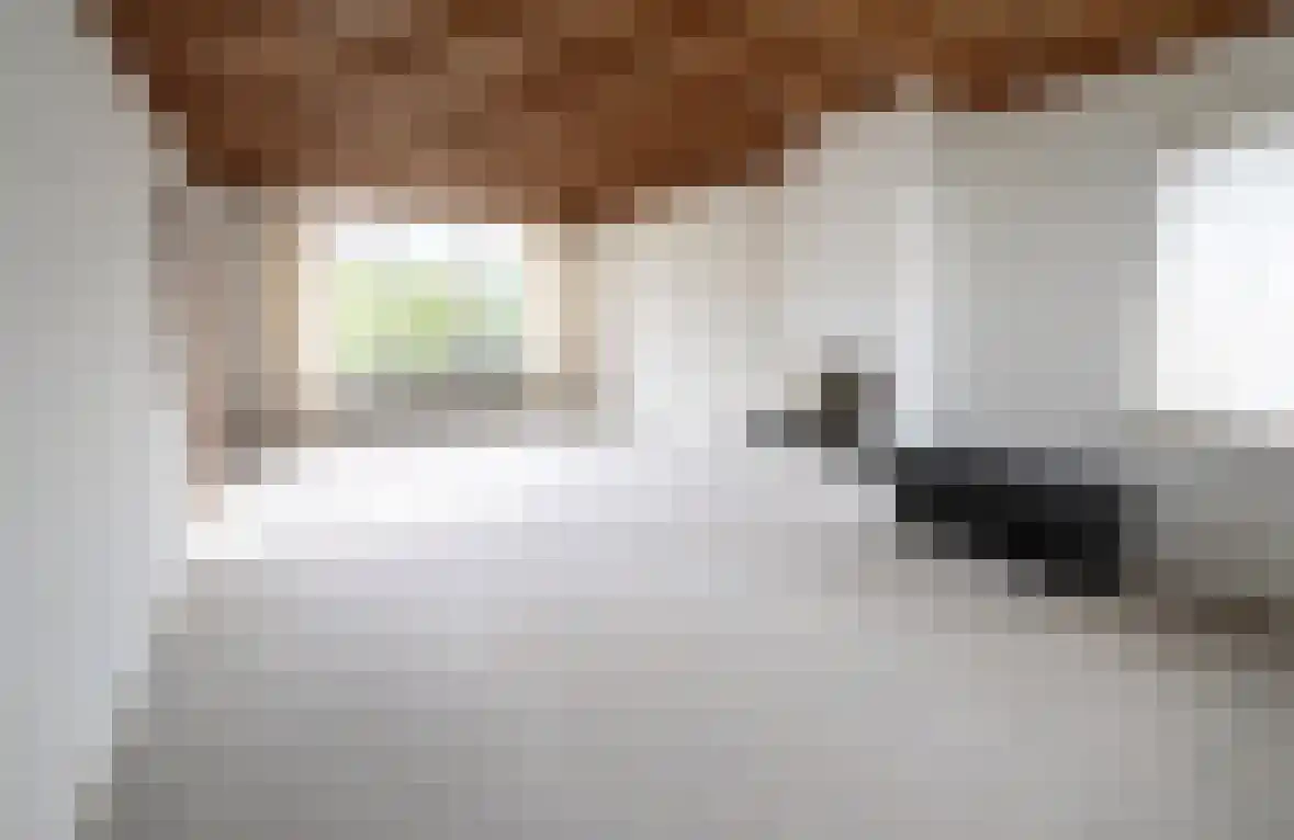Dorpstraat 50 Dreumel thumbnail 10