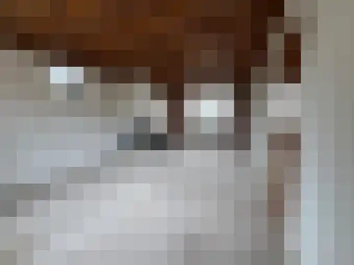 Dorpstraat 50 Dreumel thumbnail 12