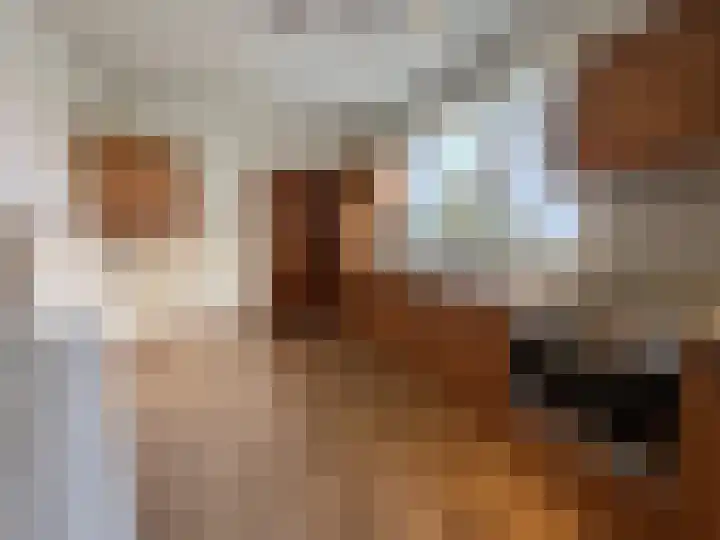 Dorpstraat 50 Dreumel thumbnail 13