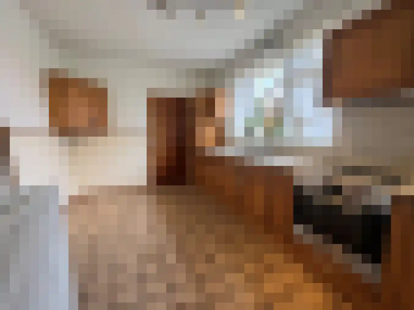 Dorpstraat 50 Dreumel thumbnail 13